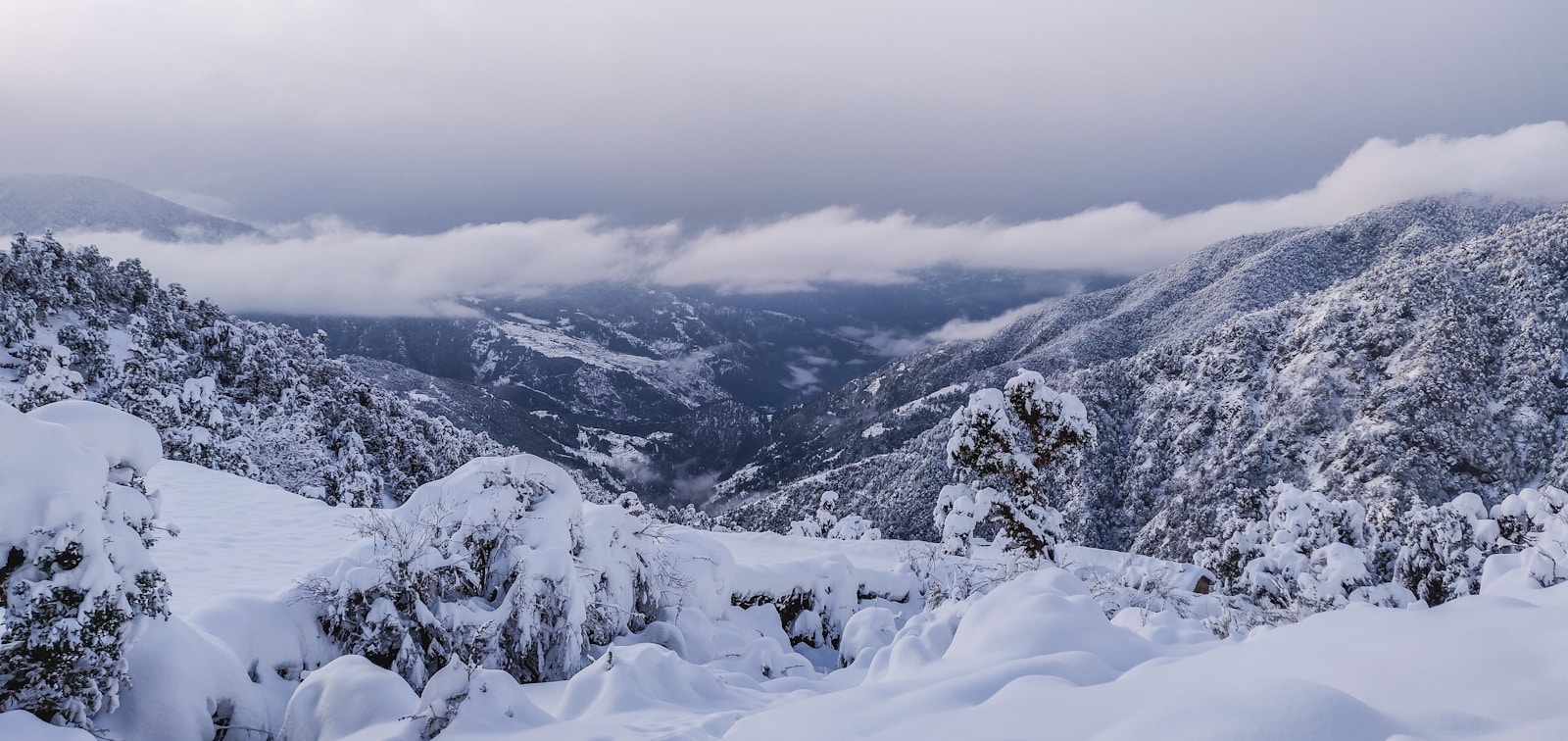 snow covered mountain during daytime